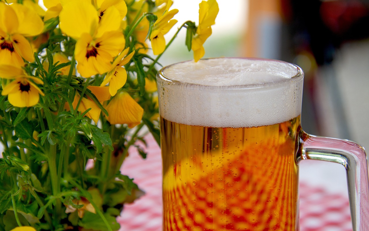 ¿Cuánto cuesta una cerveza en Ushuaia Ibiza?